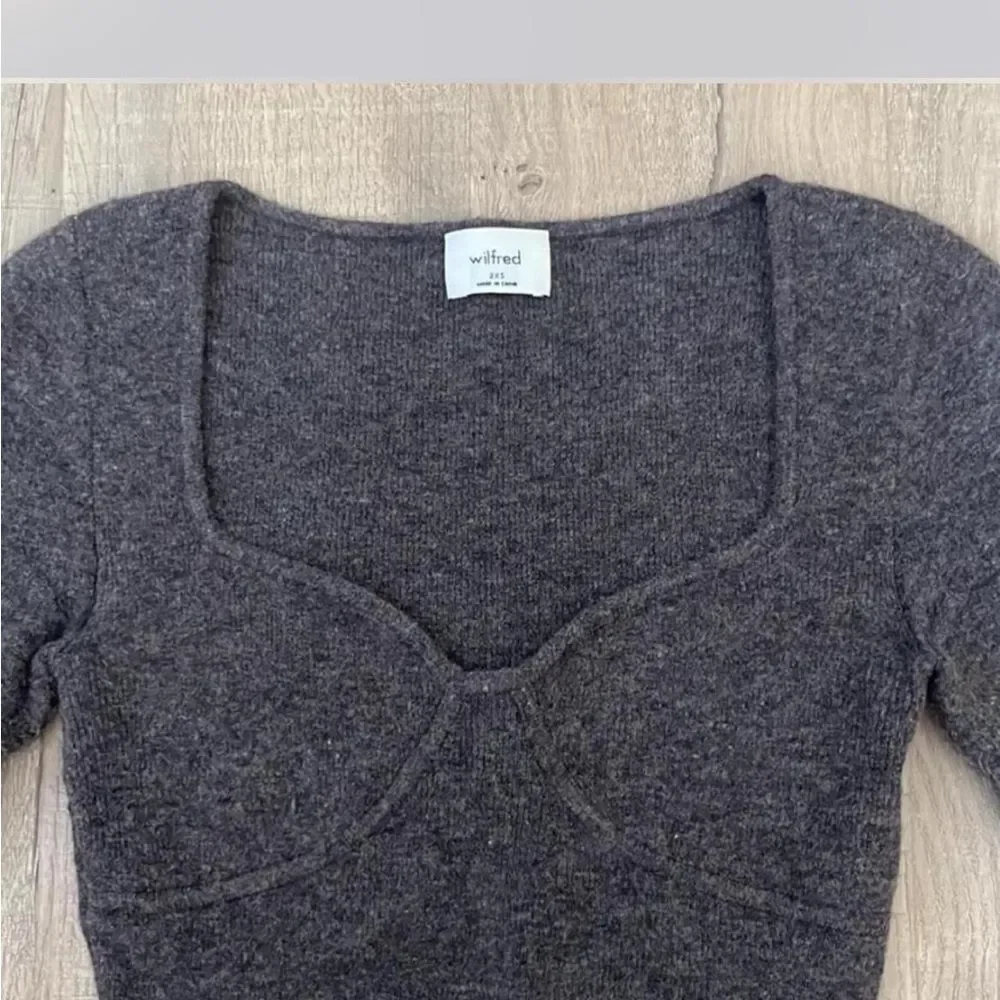 Aritzia Dark Gray Long Sleeve Crop Top